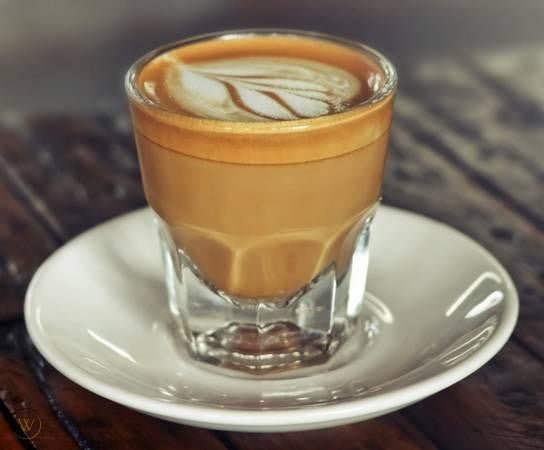 Gibraltar Glass 4.5 ozCortado Glassفولت VOLT