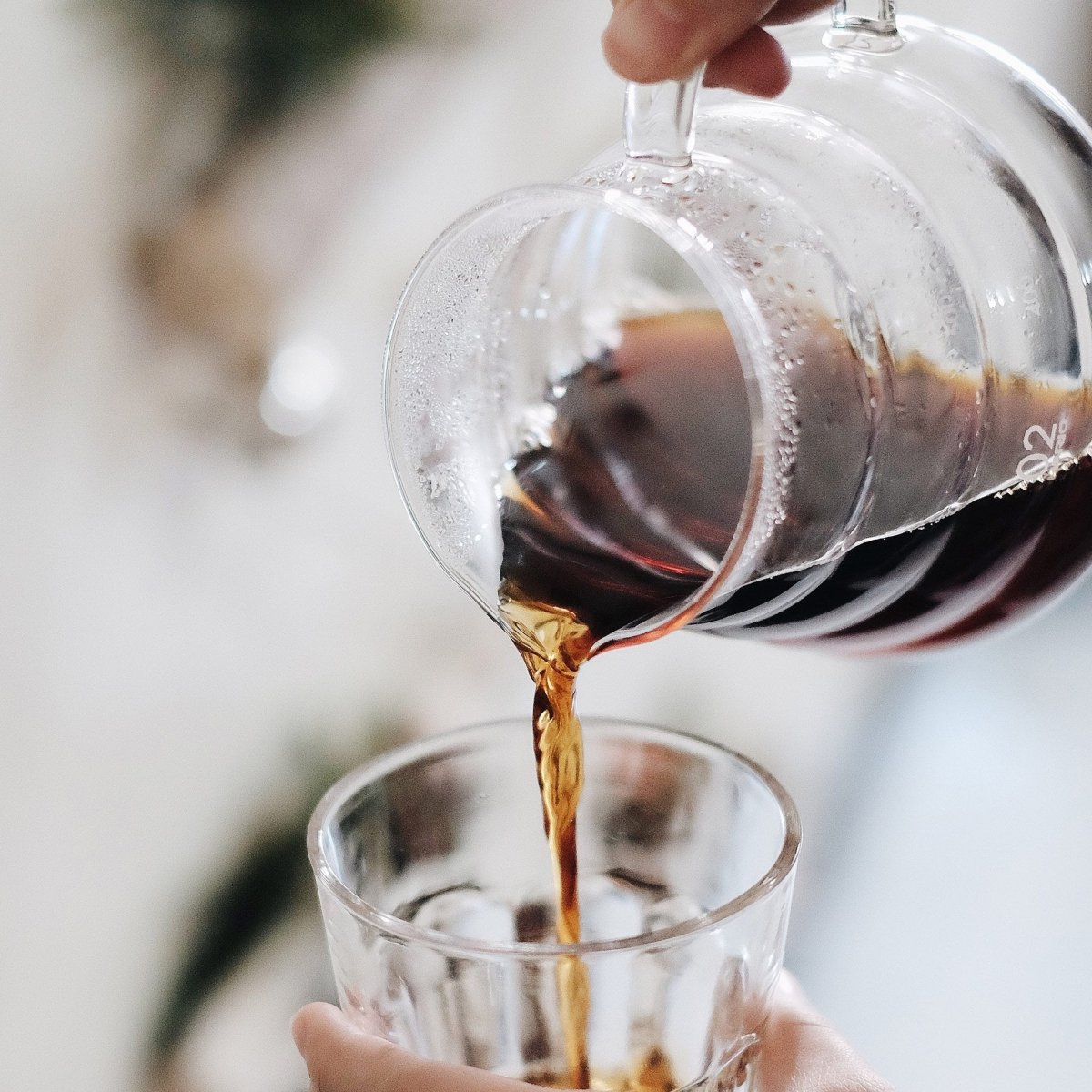 Hario V60 - 02 Range ServerCoffee Serverفولت VOLT