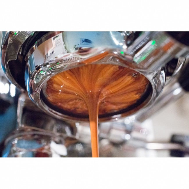 E61 Bottomless Black Handle Portafilter - فولت VOLT