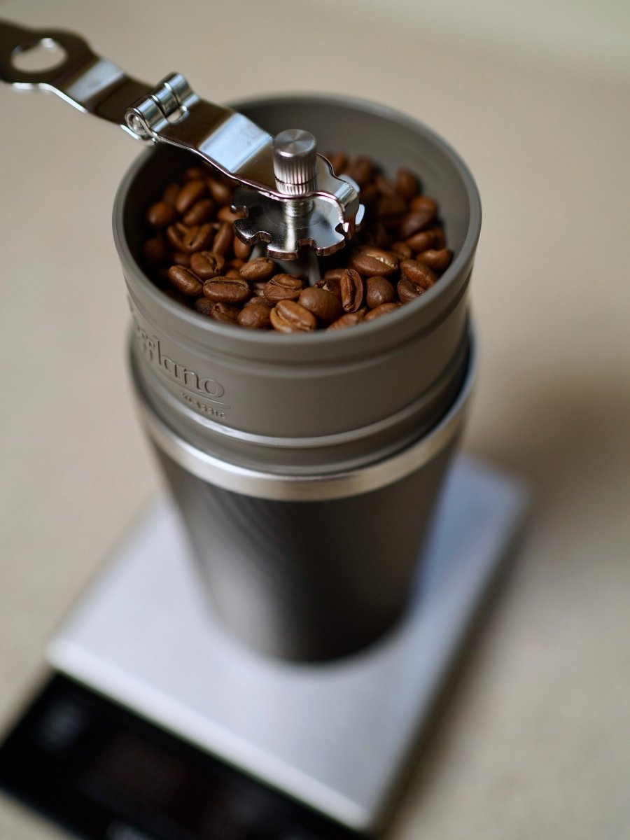 Cafflano KlassicDrip Coffee Makerفولت VOLT
